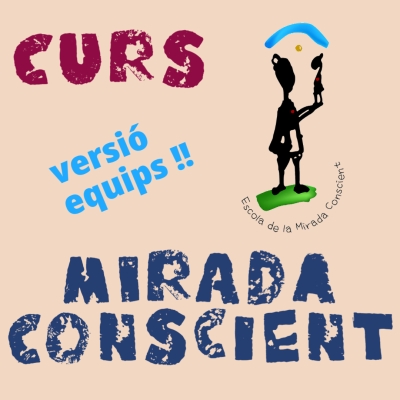 Curs Mirada Conscient / versió equips